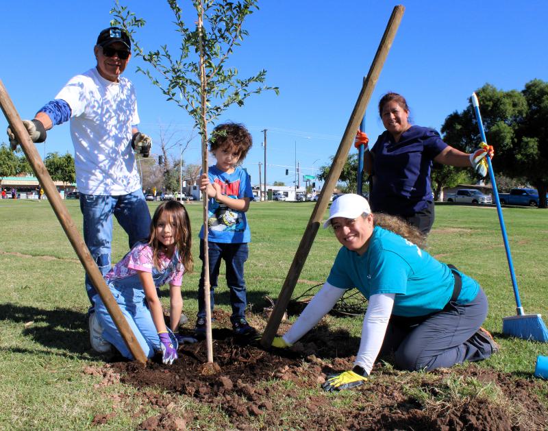 A family works together to plant a young tree as part of the Reed Park planting event. 