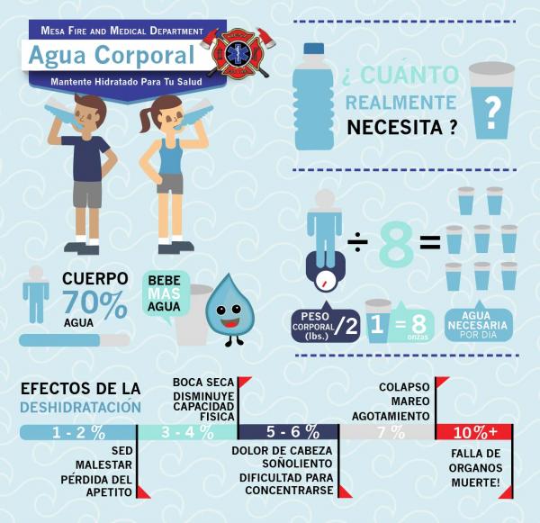 MFMD Body Water infographic_SPANISH_0616